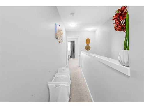 307 Copperstone Manor Se, Calgary, AB - Indoor Photo Showing Laundry Room