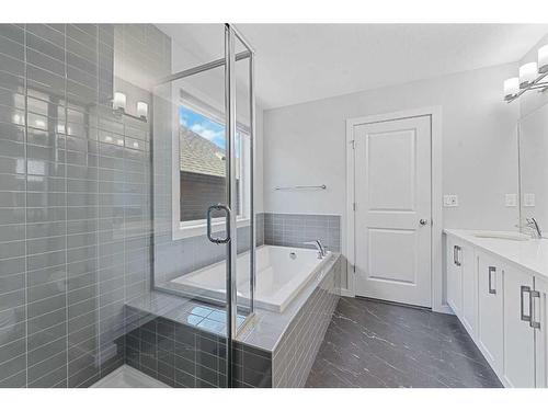 148 Savanna Drive Ne, Calgary, AB - Indoor Photo Showing Bathroom