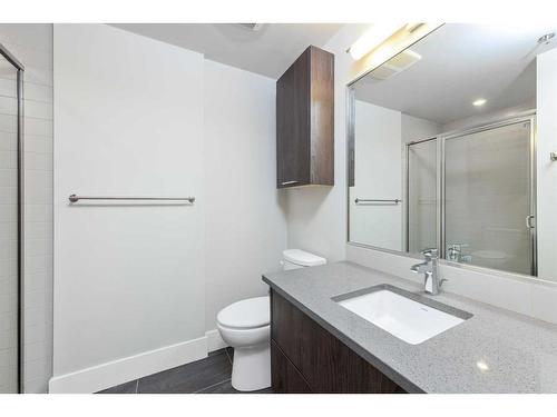 314-1087 2 Avenue Nw, Calgary, AB - Indoor Photo Showing Bathroom