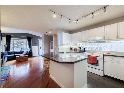 3007 29 Street Sw, Calgary, AB - Indoor Photo Showing Kitchen With Double Sink