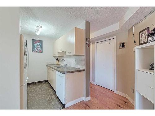 306-3000 Citadel Meadow Point Nw, Calgary, AB - Indoor Photo Showing Kitchen With Double Sink