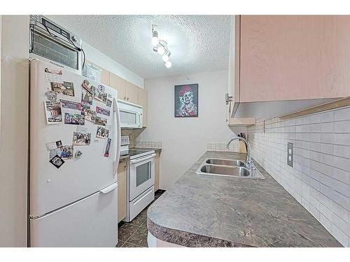 306-3000 Citadel Meadow Point Nw, Calgary, AB - Indoor Photo Showing Kitchen With Double Sink