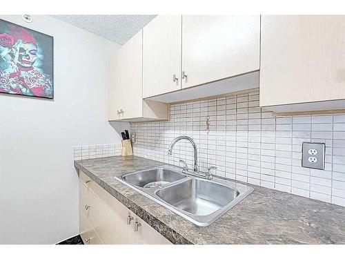 306-3000 Citadel Meadow Point Nw, Calgary, AB - Indoor Photo Showing Kitchen With Double Sink