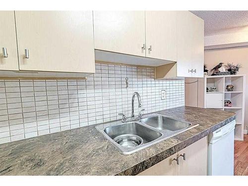 306-3000 Citadel Meadow Point Nw, Calgary, AB - Indoor Photo Showing Kitchen With Double Sink