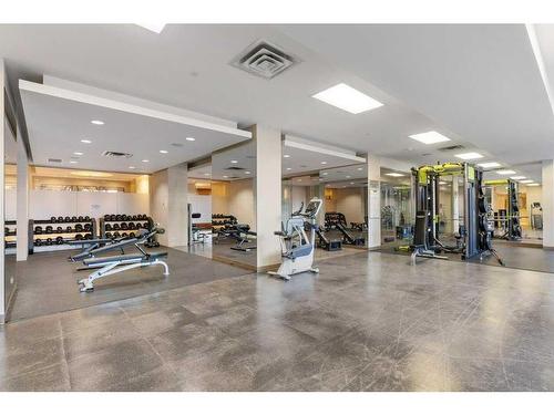 231-222 Riverfront Avenue Sw, Calgary, AB - Indoor Photo Showing Gym Room