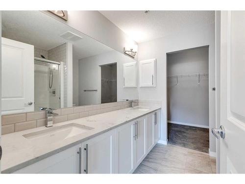 102-4150 Seton Drive Se, Calgary, AB - Indoor Photo Showing Bathroom