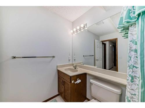 60 Douglasview Park Se, Calgary, AB - Indoor Photo Showing Bathroom