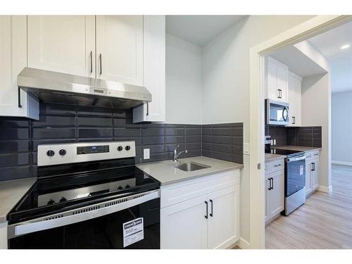 231 Cornerbrook Road Ne, Calgary, AB - Indoor Photo Showing Kitchen With Upgraded Kitchen