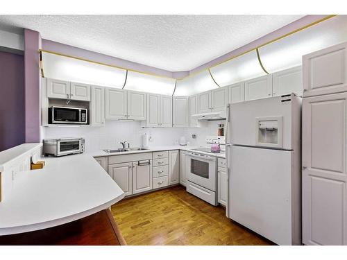 427-8535 Bonaventure Drive Se, Calgary, AB - Indoor Photo Showing Kitchen With Double Sink