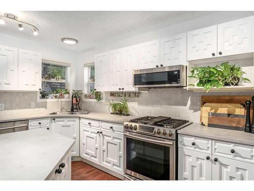 278 Panorrama Hills Lane Nw, Calgary, AB - Indoor Photo Showing Kitchen With Double Sink With Upgraded Kitchen