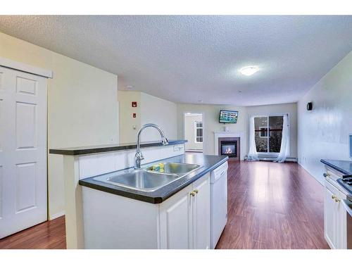 310-290 Shawville Way Se, Calgary, AB - Indoor Photo Showing Kitchen With Double Sink