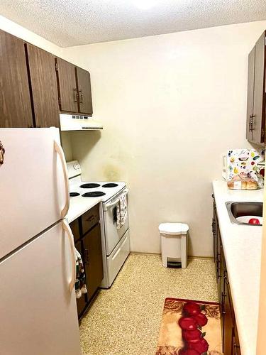 114-10120 Brookpark Boulevard Sw, Calgary, AB - Indoor Photo Showing Kitchen With Double Sink