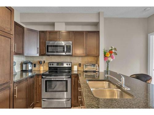 106-76 Panatella Road Nw, Calgary, AB - Indoor Photo Showing Kitchen With Double Sink