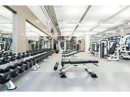 114-11 Mahogany Circle Se, Calgary, AB - Indoor Photo Showing Gym Room