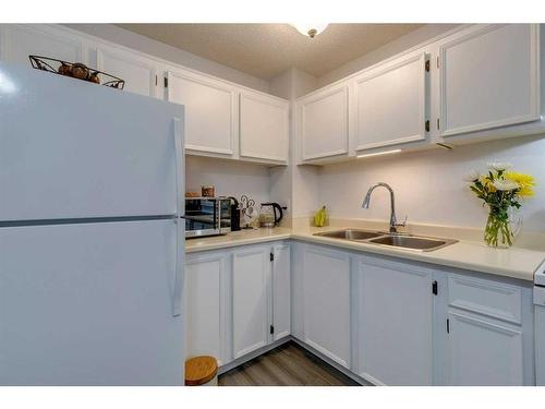 25-1155 Falconridge Drive Ne, Calgary, AB - Indoor Photo Showing Kitchen With Double Sink