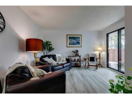 25-1155 Falconridge Drive Ne, Calgary, AB - Indoor Photo Showing Living Room