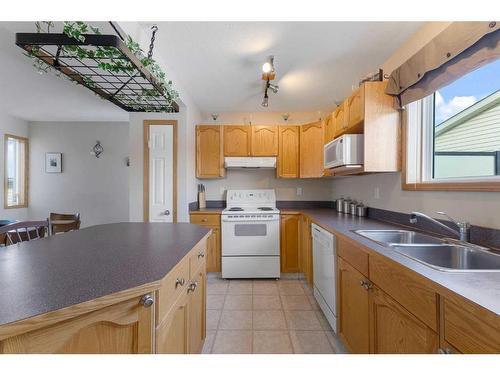 375 Coventry Road Ne, Calgary, AB - Indoor Photo Showing Kitchen With Double Sink