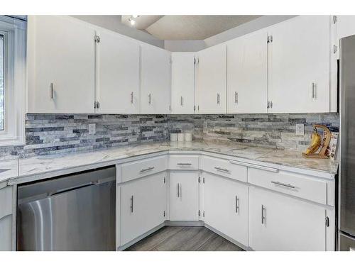 6560 Martingrove Drive Ne, Calgary, AB - Indoor Photo Showing Kitchen With Upgraded Kitchen