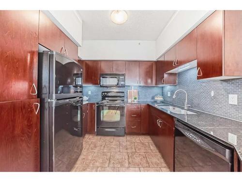 1107-8710 Horton Road, Calgary, AB - Indoor Photo Showing Kitchen With Double Sink