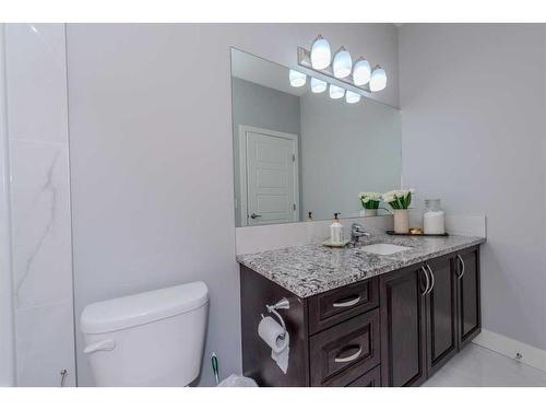 13 Savanna Green Ne, Calgary, AB - Indoor Photo Showing Bathroom