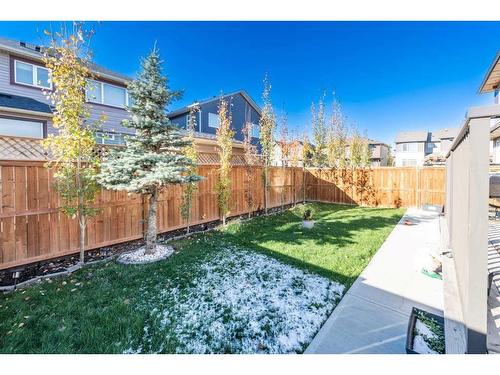 13 Savanna Green Ne, Calgary, AB - Outdoor