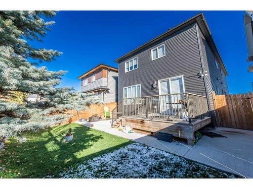 13 Savanna Green Ne, Calgary, AB - Outdoor