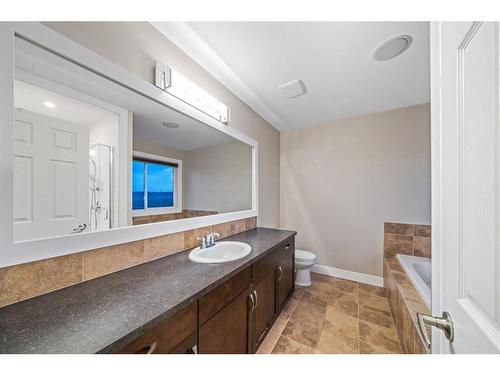 190 Windridge Road Sw, Airdrie, AB - Indoor Photo Showing Bathroom