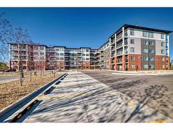 2518-395 Skyview Parkway  Calgary, AB T3N 2K1