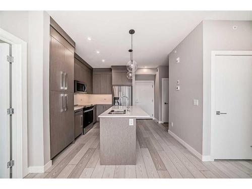 2518-395 Skyview Parkway, Calgary, AB - Indoor Photo Showing Kitchen