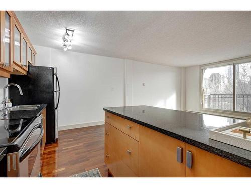 303-1420 Memorial Drive Nw, Calgary, AB - Indoor Photo Showing Kitchen With Double Sink