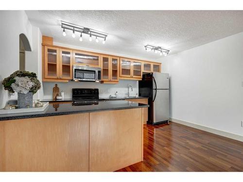 303-1420 Memorial Drive Nw, Calgary, AB - Indoor Photo Showing Kitchen