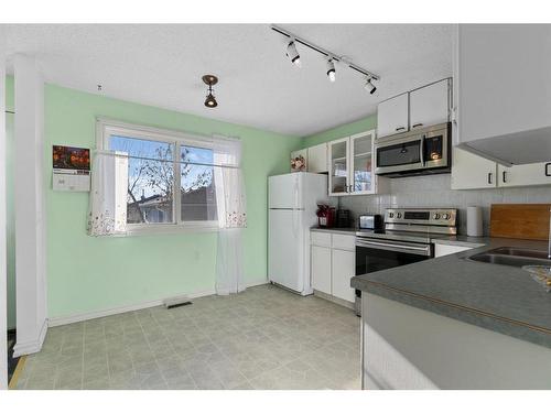 12 Falconer Terrace Ne, Calgary, AB - Indoor Photo Showing Kitchen With Double Sink