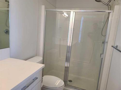 117 Dawson Circle, Chestermere, AB - Indoor Photo Showing Bathroom