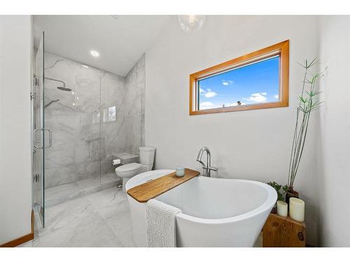 173 Wapiti Close, Canmore, AB - Indoor Photo Showing Bathroom