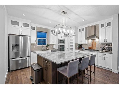 219 Kinniburgh Place, Chestermere, AB - Indoor Photo Showing Kitchen With Stainless Steel Kitchen With Upgraded Kitchen