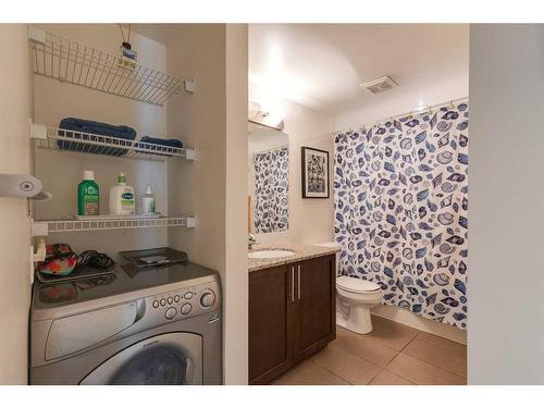 204-4455C Greenview Drive Ne, Calgary, AB - Indoor Photo Showing Laundry Room