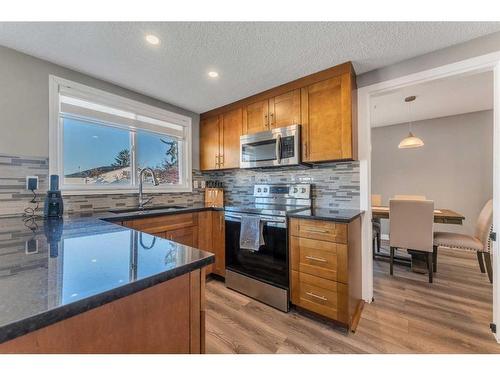 304 Pinemill Way Ne, Calgary, AB - Indoor Photo Showing Kitchen With Double Sink