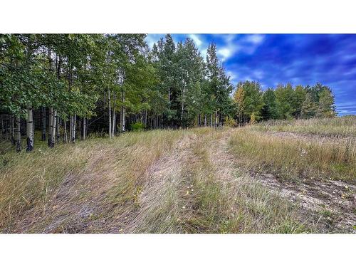 31479 Range Road 52, Rural Mountain View County, AB - Outdoor With View