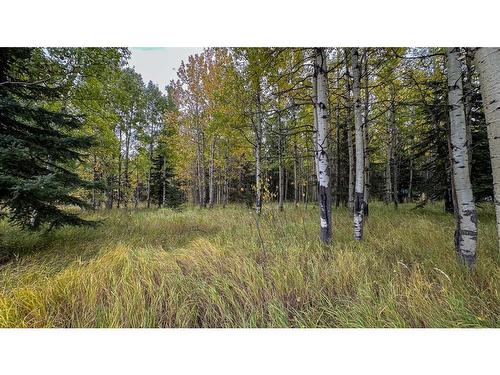 31479 Range Road 52, Rural Mountain View County, AB - Outdoor With View