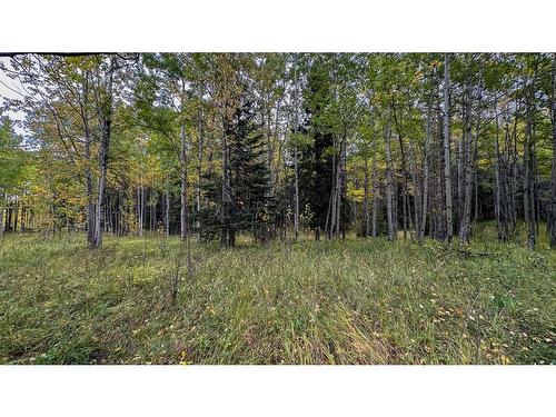 31479 Range Road 52, Rural Mountain View County, AB - Outdoor With View