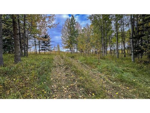 31479 Range Road 52, Rural Mountain View County, AB - Outdoor With View