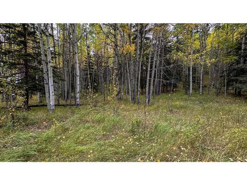 31479 Range Road 52, Rural Mountain View County, AB - Outdoor With View