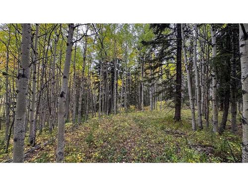 31479 Range Road 52, Rural Mountain View County, AB - Outdoor With View