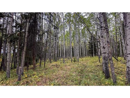 31479 Range Road 52, Rural Mountain View County, AB - Outdoor With View