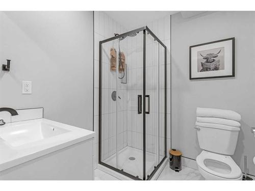 303 Coral Sands Terrace Ne, Calgary, AB - Indoor Photo Showing Bathroom