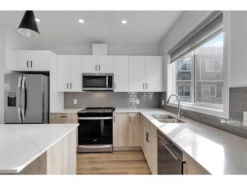 118-137 Red Embers Link Ne, Calgary, AB - Indoor Photo Showing Kitchen With Stainless Steel Kitchen With Double Sink With Upgraded Kitchen