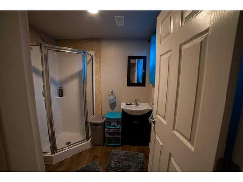 184 Copperfield Rise Se, Calgary, AB - Indoor Photo Showing Bathroom