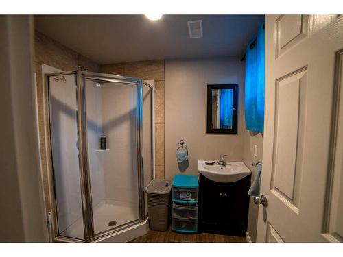 184 Copperfield Rise Se, Calgary, AB - Indoor Photo Showing Bathroom