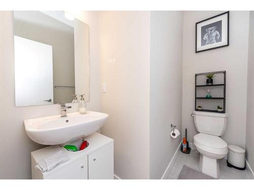 77 Homestead Boulevard Ne, Calgary, AB - Indoor Photo Showing Bathroom