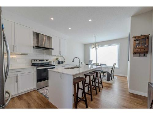 77 Homestead Boulevard Ne, Calgary, AB - Indoor Photo Showing Kitchen With Upgraded Kitchen